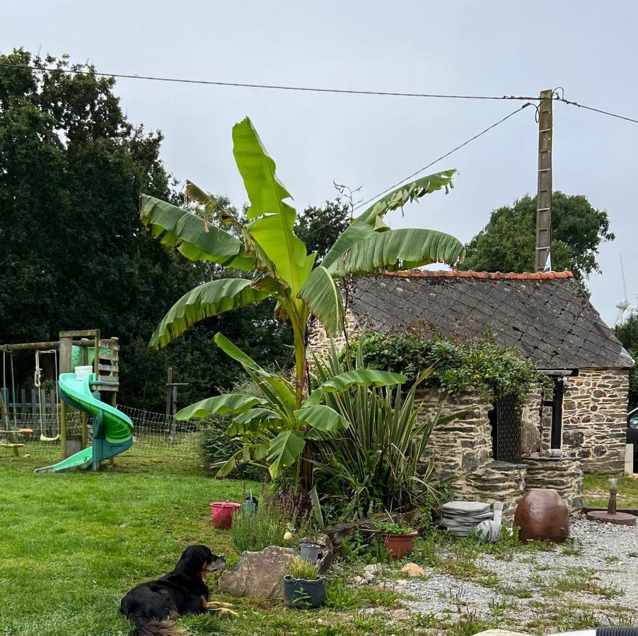 Maison D'Hotes Ty Belle Saint-Guen Zewnętrze zdjęcie